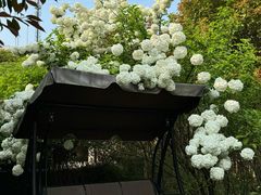 -看见远方·莫干遥远的山民宿