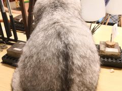 -Oasis绿洲银饰珍珠手作diy(壹方城店)