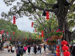 -南沙天后宫景区