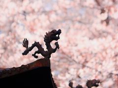 -苏州上方山国家森林公园