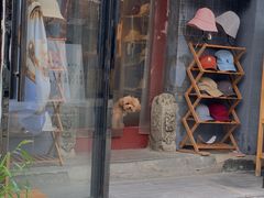 -闲·胡同 Barblu Hutong(雍和宫五道营店)