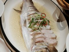清蒸白鱼-二十八里太湖船菜(吉祥路店)