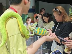 -上海大自然野生昆虫馆(东方明珠·爬宠昆虫探索中心)