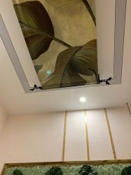 -芳朵美容养生SPA