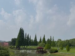 -宜兴龙背山森林公园