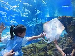 -海合安武汉极地海洋公园