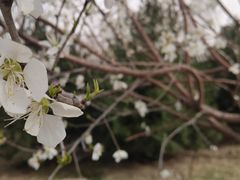 -三里河公园
