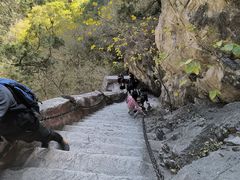 -北京上方山国家森林公园