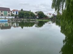 -金山嘴渔村