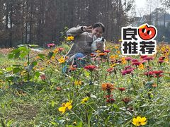 -桤木河湿地公园