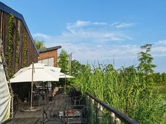 -昆山城市生态森林公园