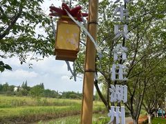 -长田漾湿地公园