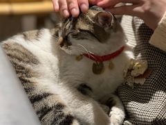 -铜瓢江湖兔火锅(水碾河社区店)