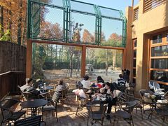 -上海野生动物园老虎餐厅