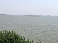 -贡湖湾湿地公园