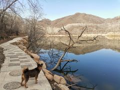景点-玉渡山自然风景区