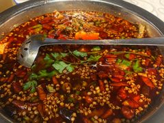 -高坎一品甲鱼庄(两河店)