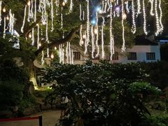 -南京市民俗博物馆(甘熙故居)