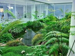 -罗红摄影艺术馆