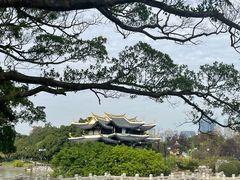 -江心屿景区