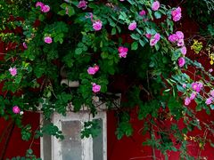 -北京石刻艺术博物馆(五塔寺)