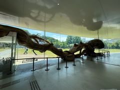 -金泽21世纪美术馆