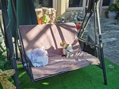 -后海16号·北京私房菜