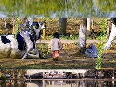 -石家庄市植物园