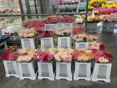 -盒马X会员店(王府井奥莱UP TOWN店)