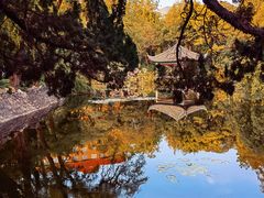 -叶家花园