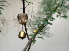 -元古雲境(太古里店)