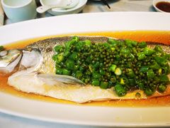 太湖白鱼-苏帮袁Sue Cuisine(来福士店)