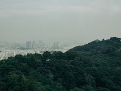 -新罗免税店(首尔总店)