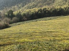 -敬亭山风景名胜区