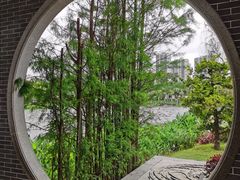 -映月湖公园