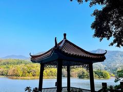 -深圳仙湖植物园