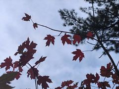 -明堂山风景区