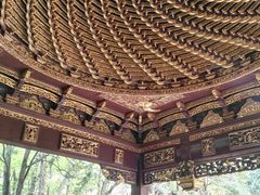 -汇龙潭