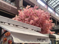 -Simple Yummy简单美味(上邦百汇城店)