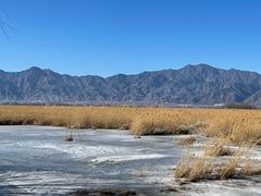 -野鸭湖国家湿地公园