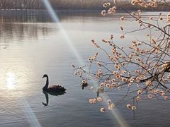 -颐和园