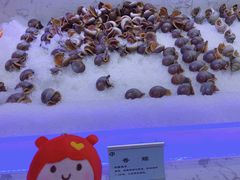 香螺-澜悦港海鲜体验主题餐厅