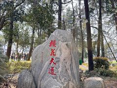 -武汉大学-樱园