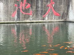 -千岛湖东南湖区