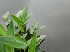 -新江湾城公园