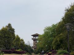 -张坝桂圆林公园