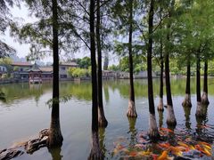 -东莞市可园博物馆