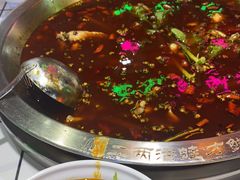 -蛙一刀·麻椒鱼火锅(金仙桥店)