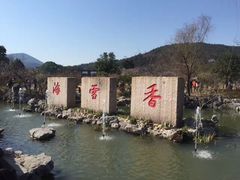 -香雪海