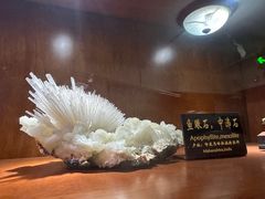 -青岛德国总督楼旧址博物馆